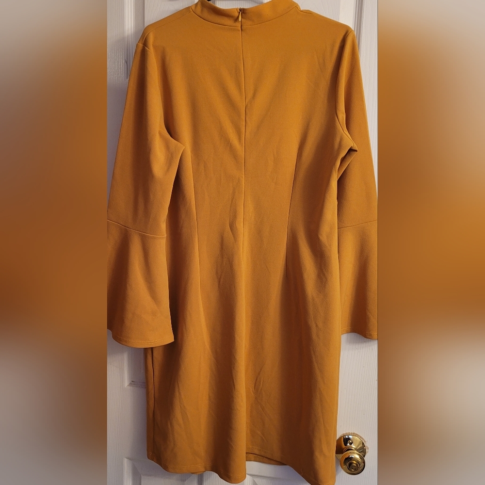 Tash + Shophie Vintage dress